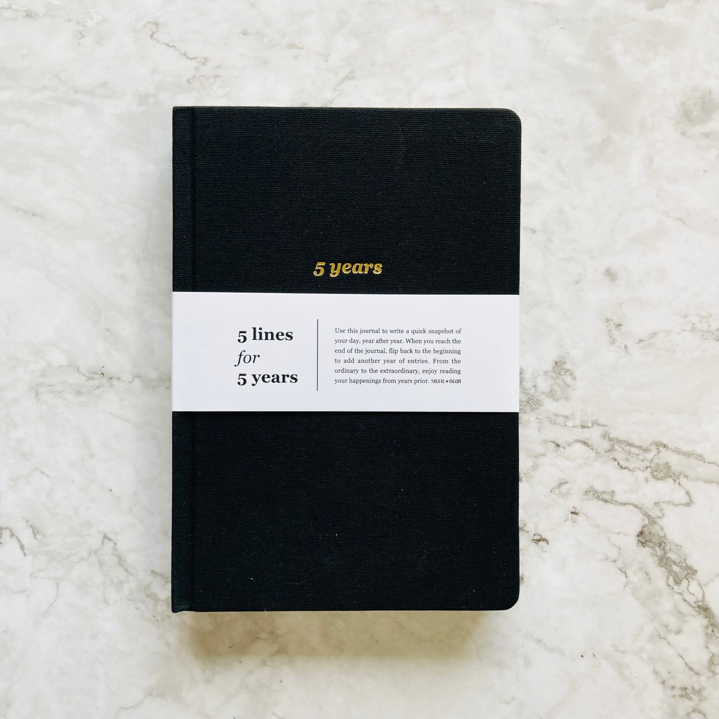 5 Lines for 5 Years Journal