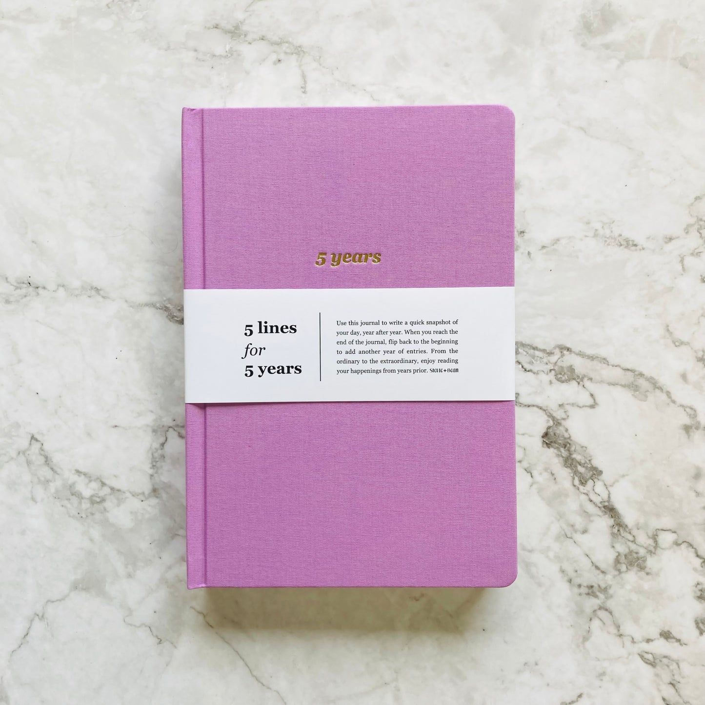 5 Lines for 5 Years Journal