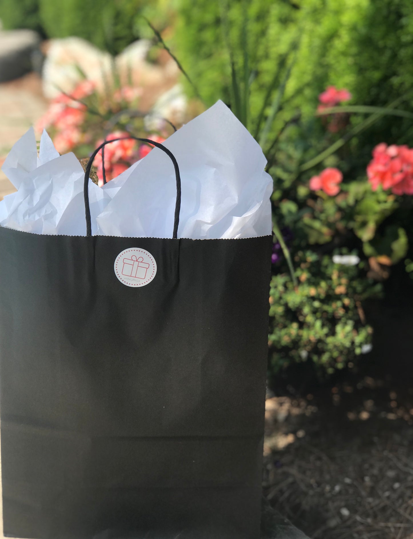 Mystery Bags - Summer Edition